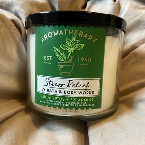 Bath & Body works - aromatherapy eucalyptus and spearmint